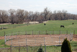 Round Pen